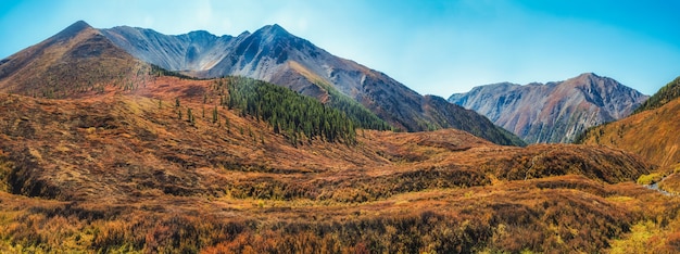 Paisaje de montaña otoñal atmosférico. Un amplio paisaje panorámico con el borde de un bosque de coníferas y montañas en una ligera niebla. Montañas de Altai.