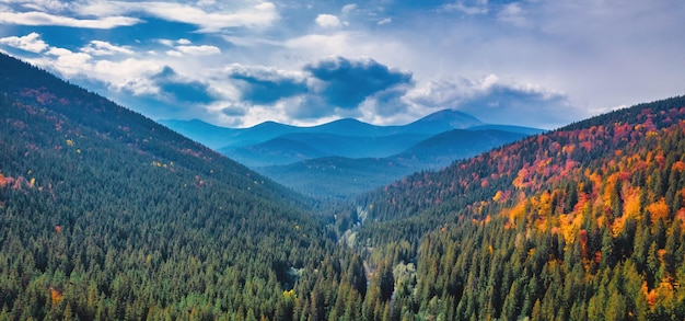 Paisaje de montaña de otoño Panorama de árboles amarillos Fondo natural