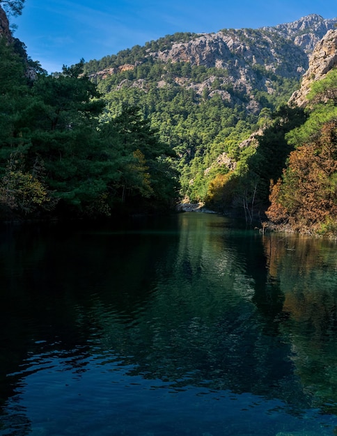 Paisaje de montaña de otoño vertical con lago a la sombra