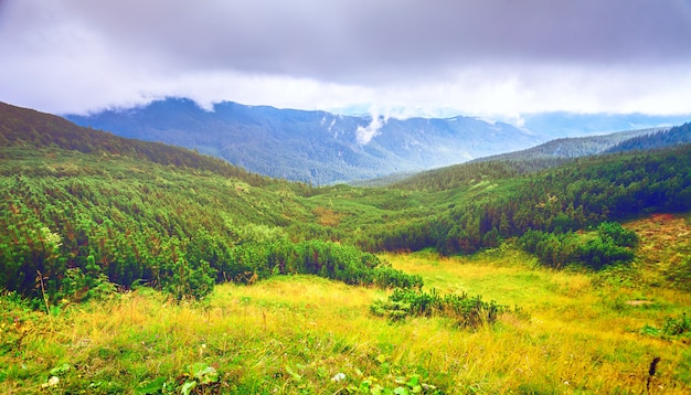 Paisaje de montaña en otoño