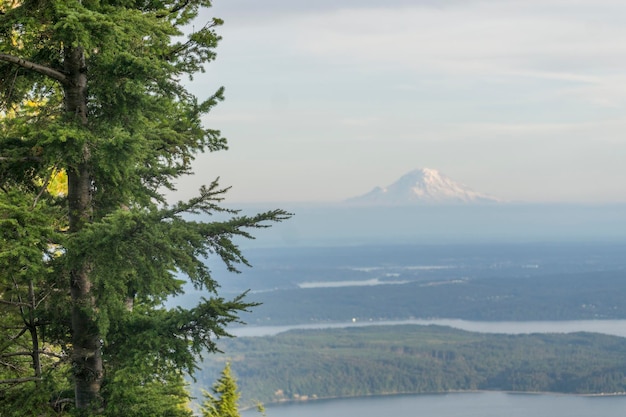 Paisaje de montaña del Parque Nacional Olímpico con el Monte Rainier