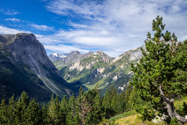 Paisaje de montaña y pastos en Pralognan la Vanoise. Alpes franceses