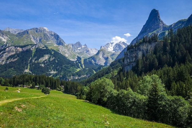 Paisaje de montaña y pastos en Pralognan la Vanoise