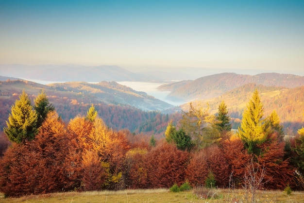 Paisaje de montaña a principios de la brumosa mañana de otoño. Montañas de los Cárpatos. Ucrania