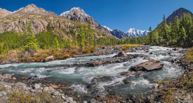 Paisaje de montaña, río con un flujo rápido, lugares salvajes de Siberia, Altai