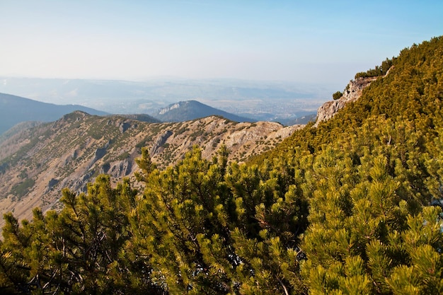 Paisaje de montaña con rocas y árboles.