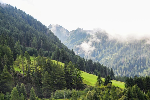 Paisaje de montaña Suiza cielo azul claro