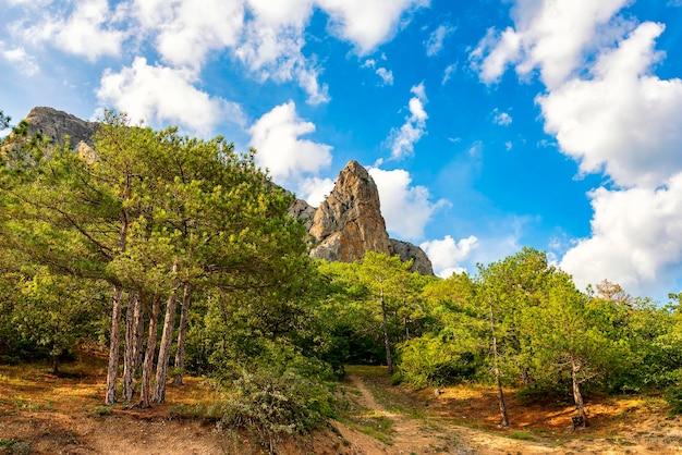 Foto paisaje de montaña de verano con roca solitaria.