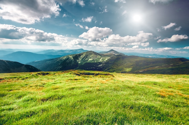 Foto paisaje de montaña en verano