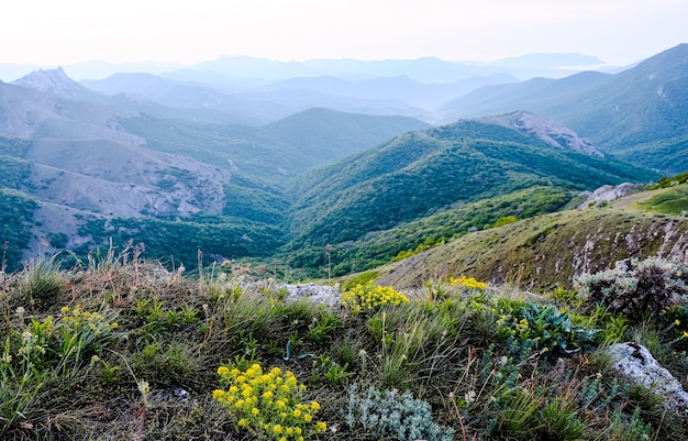 Paisaje de montaña de verano