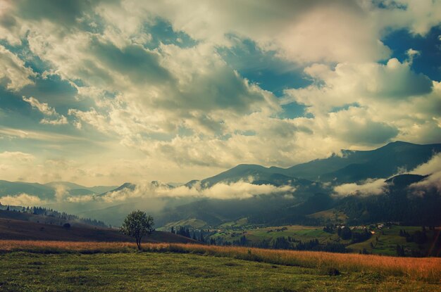 Paisaje de montaña de verano