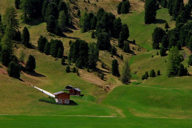 Foto paisaje de montaña verde