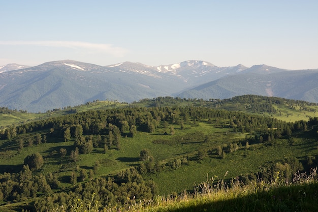 Paisaje de montaña