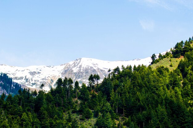 Paisaje de montaña