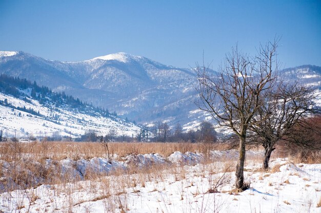 paisaje de montaña