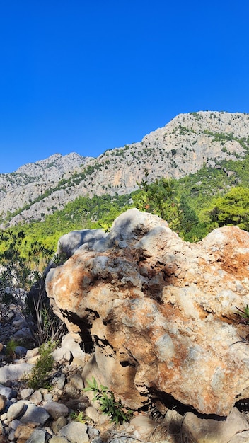 paisaje de montaña