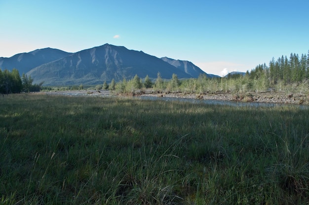 paisaje con la montaña