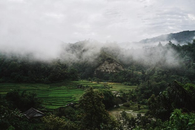 Paisaje con montañas al fondo.