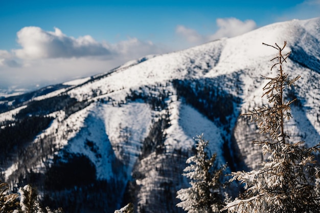 Paisaje de montañas alpinas con nieve blanca y cielo azul Puesta de sol de invierno en la naturaleza Árboles helados bajo la cálida luz del sol Maravilloso paisaje invernal