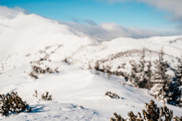 Paisaje de montañas alpinas con nieve blanca y cielo azul Puesta de sol de invierno en la naturaleza Árboles helados bajo la cálida luz del sol Maravilloso paisaje invernal