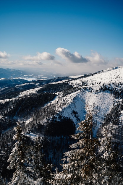 Paisaje de montañas alpinas con nieve blanca y cielo azul Puesta de sol de invierno en la naturaleza Árboles helados bajo la cálida luz del sol Maravilloso paisaje invernal