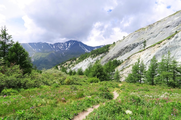 Paisaje de las montañas de Altai