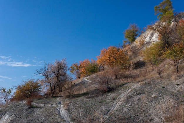 Paisaje de montañas de árboles de otoño sobre un fondo de cielo azul El frío de otoño dorado a menudo se convierte en nieve y luego vuelven los días cálidos y soleados