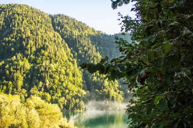 Paisaje con montañas y árboles en primer plano