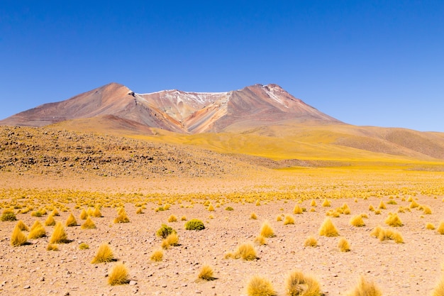 Paisaje de las montañas bolivianas