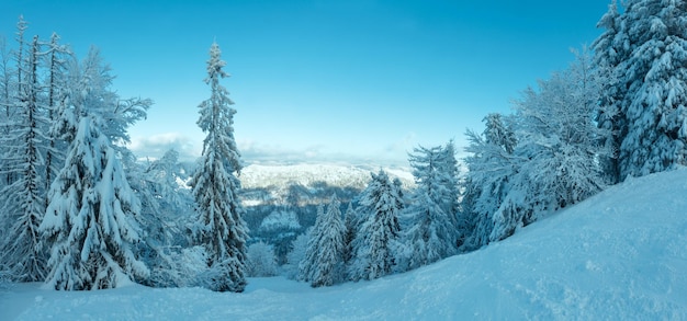 Paisaje de las montañas de los Cárpatos de invierno Ucrania