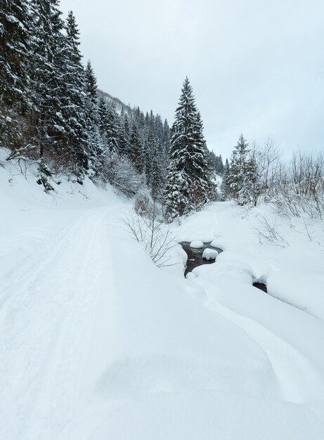 Paisaje de las montañas de los Cárpatos de invierno