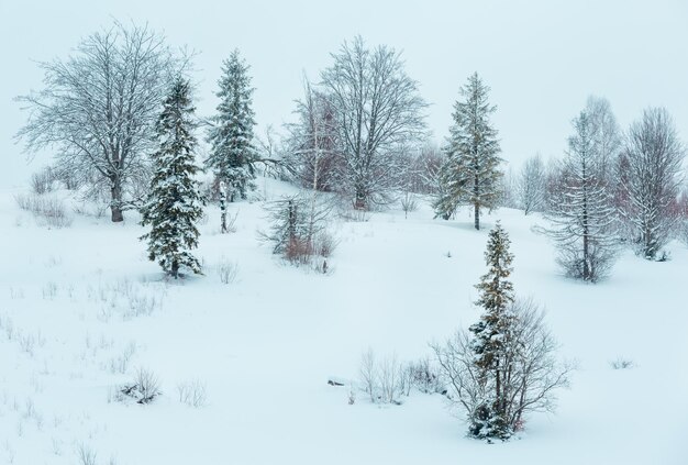 Paisaje de las montañas de los Cárpatos de invierno