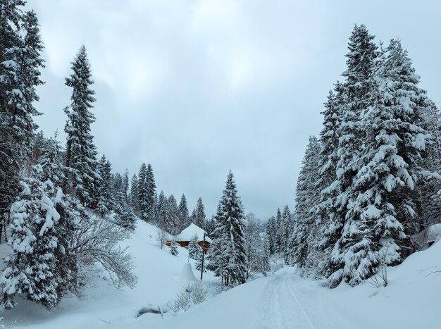 Paisaje de las montañas de los Cárpatos ucranianos de invierno