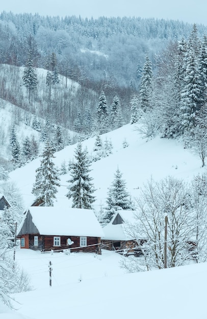 Paisaje de las montañas de los Cárpatos ucranianos de invierno