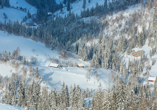 Paisaje de las montañas de los Cárpatos ucranianos de invierno