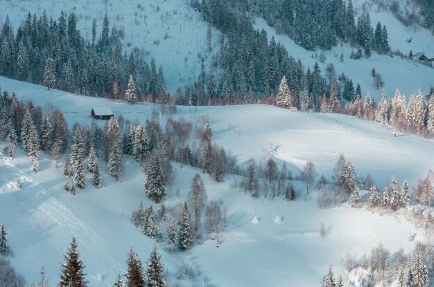 Paisaje de las montañas de los Cárpatos ucranianos de invierno