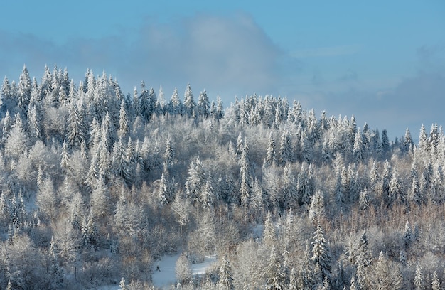 Paisaje de las montañas de los Cárpatos ucranianos de invierno