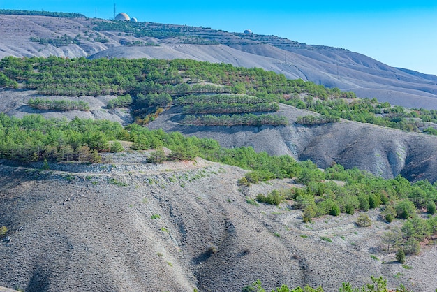 Paisaje de montañas de relieve arcilloso y cretáceo con plantaciones forestales