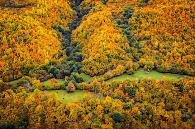 paisaje montañas valle otoño