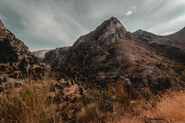 Paisaje de las montañas