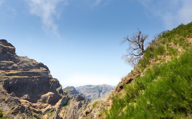 Paisaje de las montañas