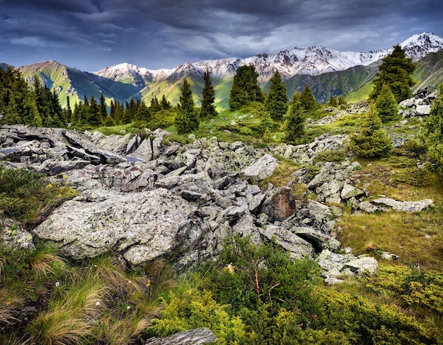 paisaje de montañas