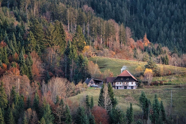 Paisaje en las montañas