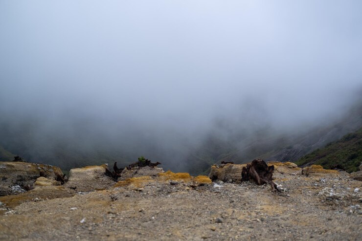 Paisaje montañoso con bosque de pinos y niebla en el área del cráter Ijen