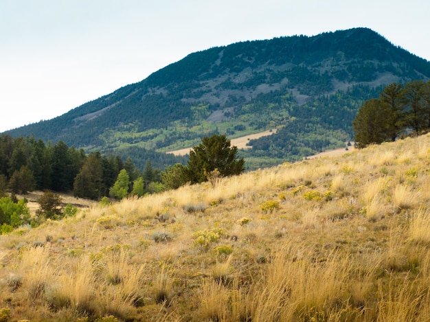 El paisaje montañoso de Colorado a principios de otoño.