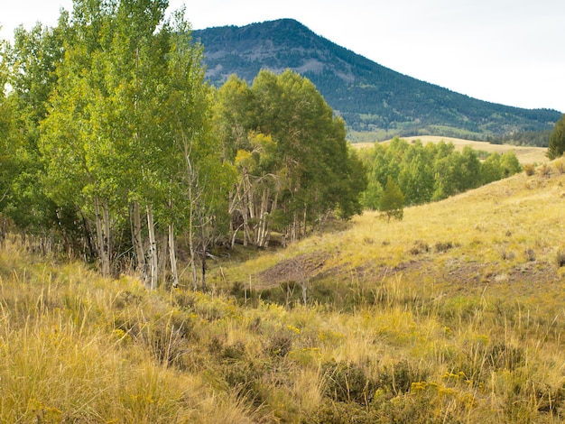 El paisaje montañoso de Colorado a principios de otoño.