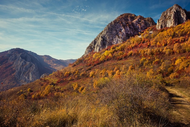 Paisaje montañoso de otoño con bosques coloridos