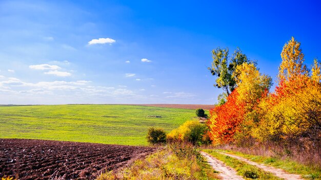 Paisaje montañoso de otoño con un camino rural y un cielo