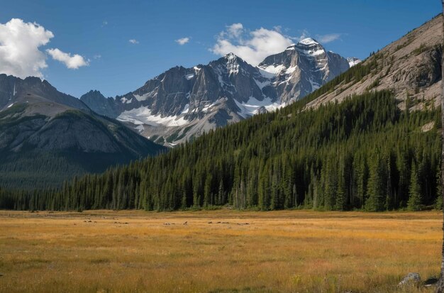 Foto paisaje montañoso con prados y pinos