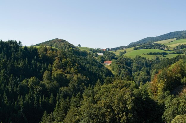 paisaje montañoso de la Selva Negra